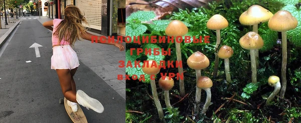 мет Аркадак